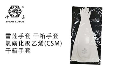 雪蓮 雪蓮