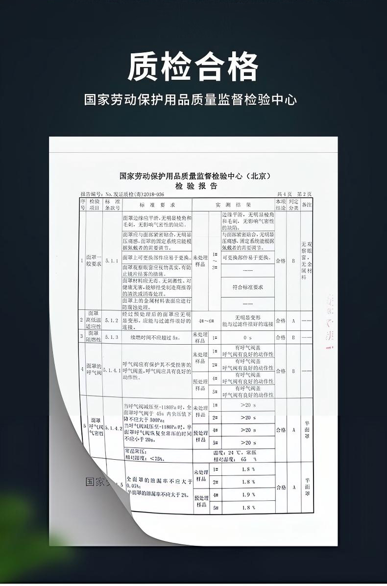 定和DH20121双滤盒橡胶半面罩防毒面具2